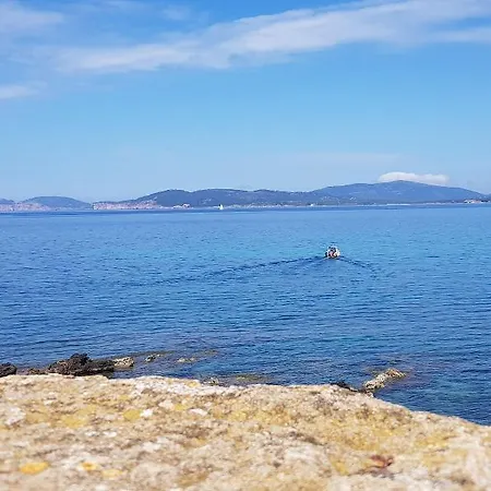 Big Fish E Aba Maya Alghero